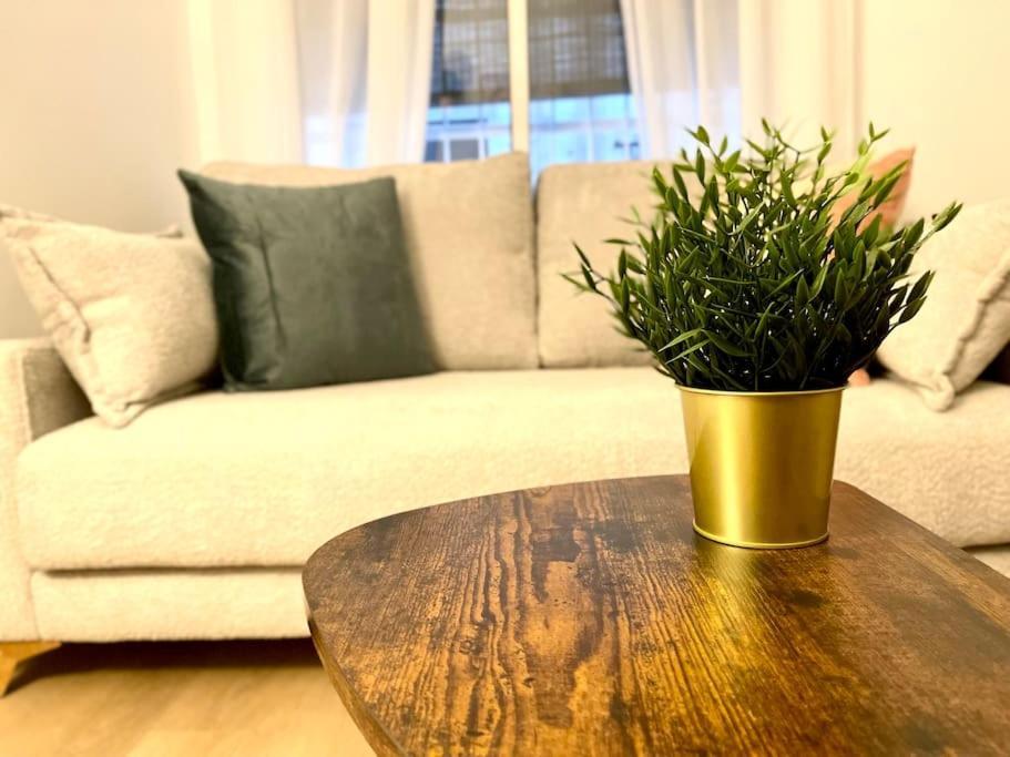Elegancia Junto Al Rectorado. Apartment